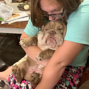 Meet your Posher, Anna